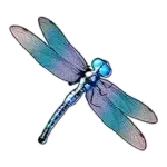 Dragonfly symbol Big Bass Bonanza